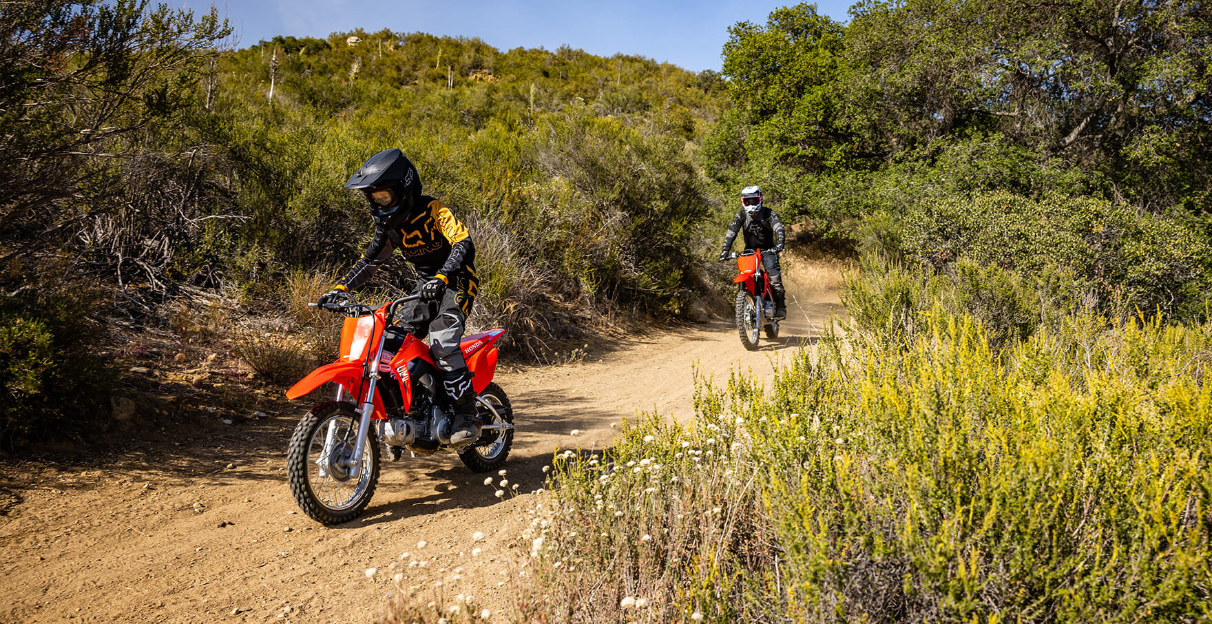 2026-CRF110F-multi-next-step