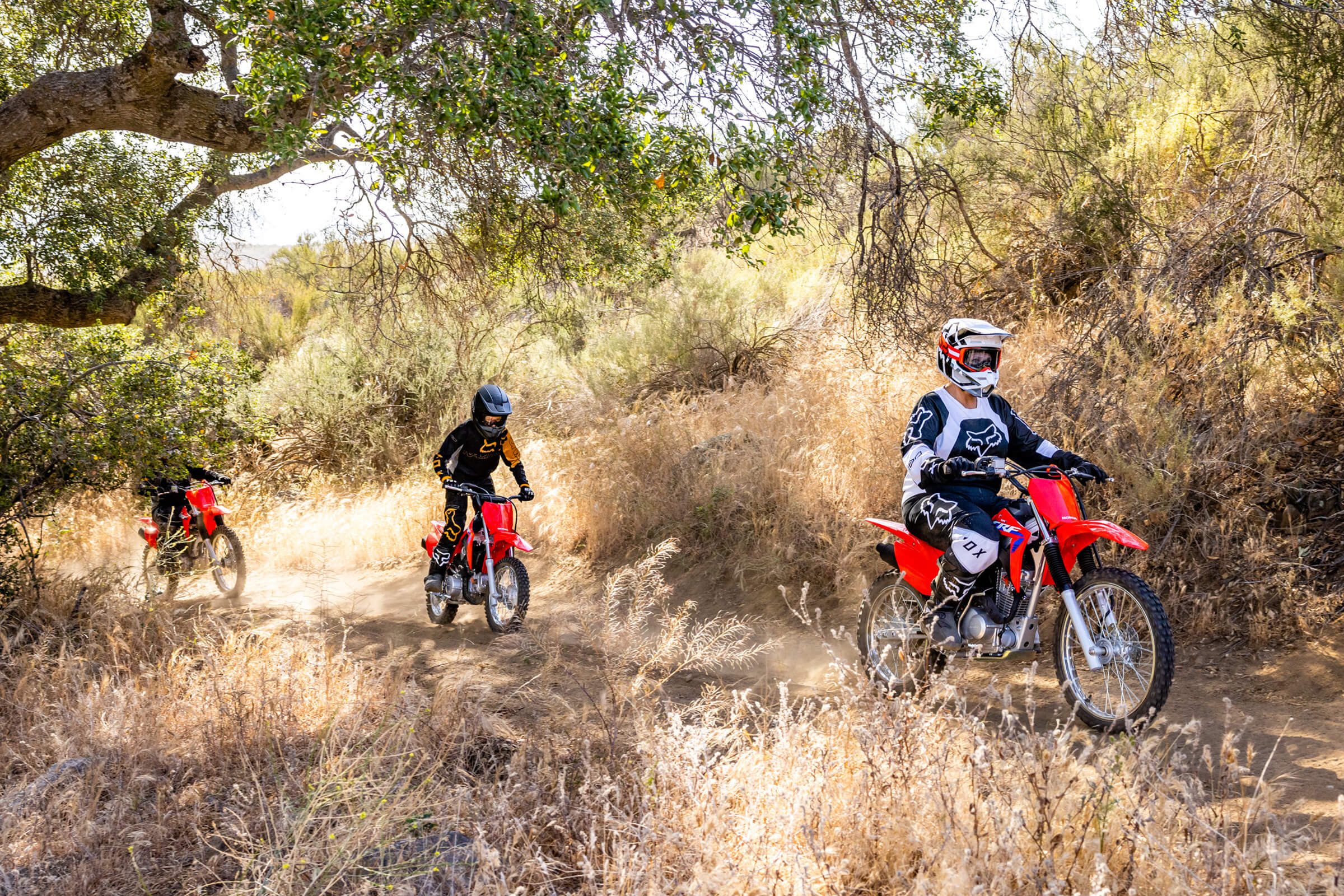2024 CRF125F Big Wheel GALLERY Honda
