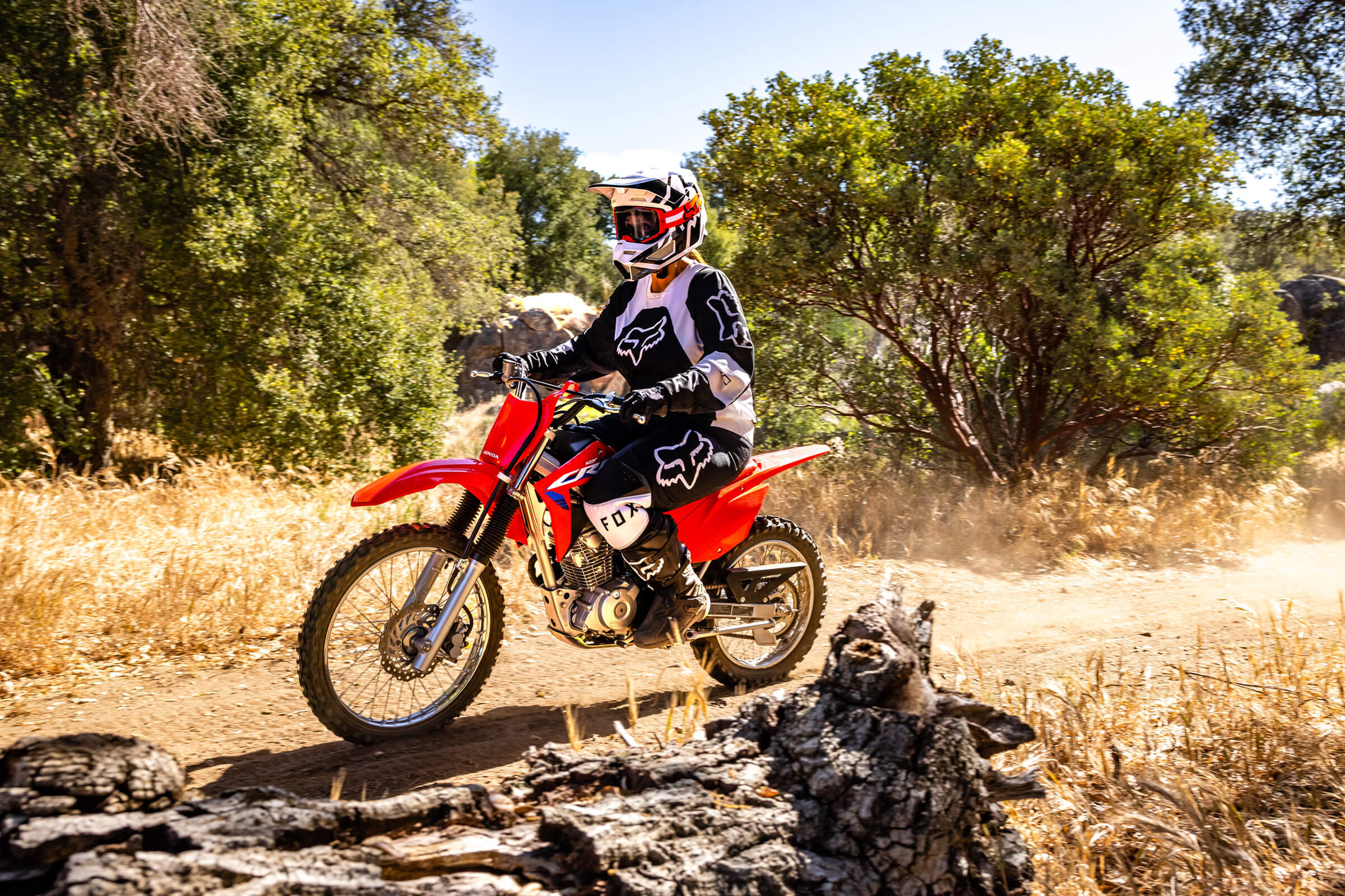 CRF125F Big Wheel Dirt Bike Honda
