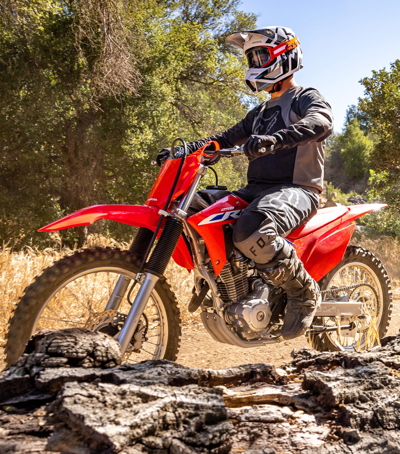 Honda trail 250 discount