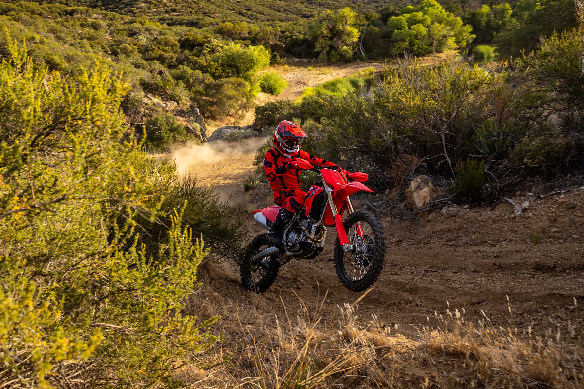 CRF250RX Enduro Spec Honda crf250rx-enduro-spec-honda