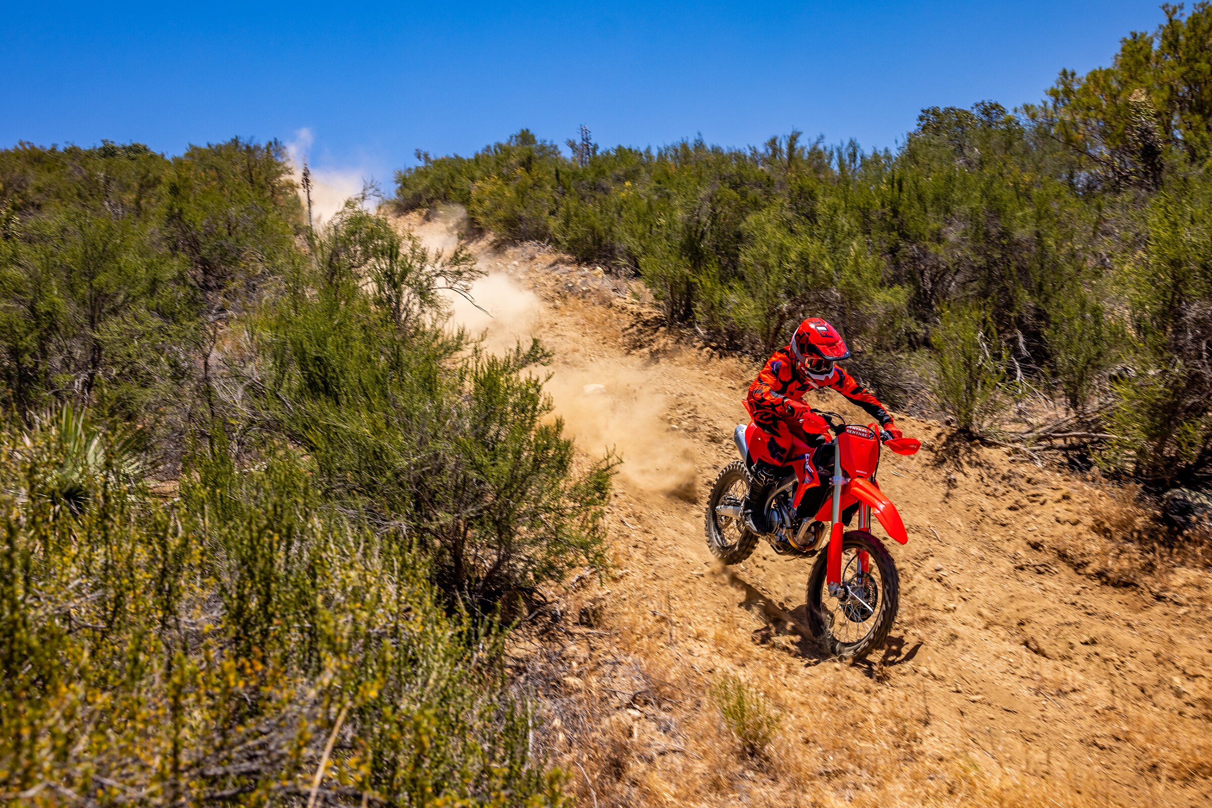 CRF250RX Enduro Spec Honda crf250rx-enduro-spec-honda