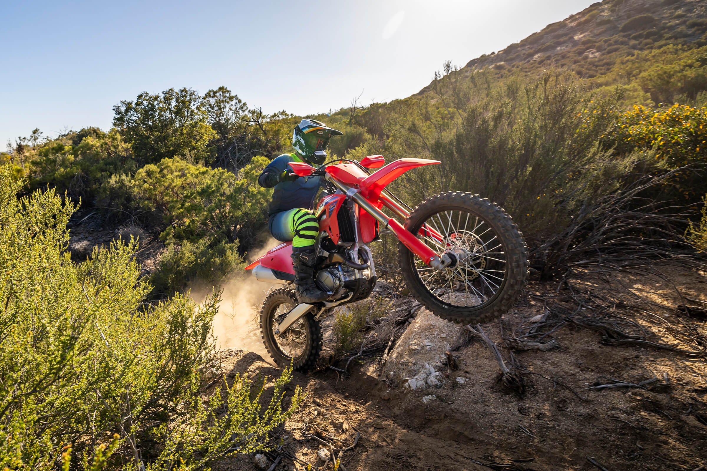 CRF450RX gallery image