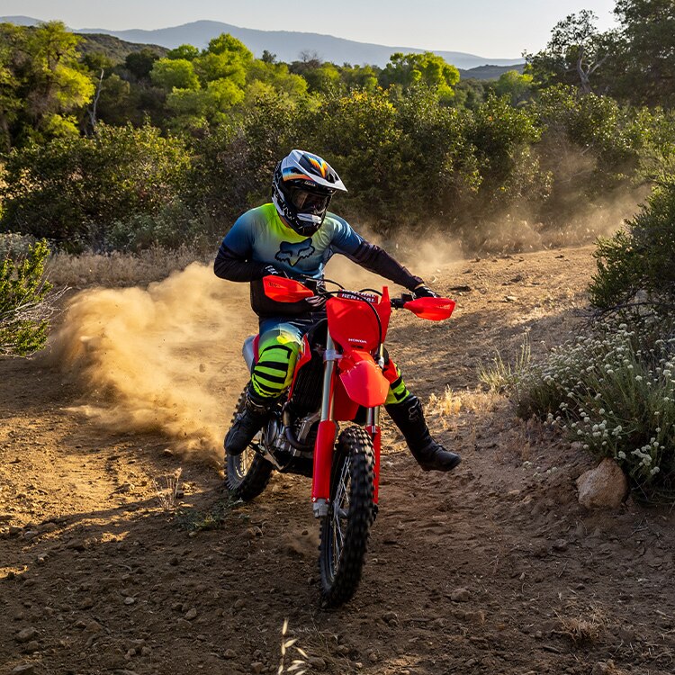 Gallery - CRF450RX 1