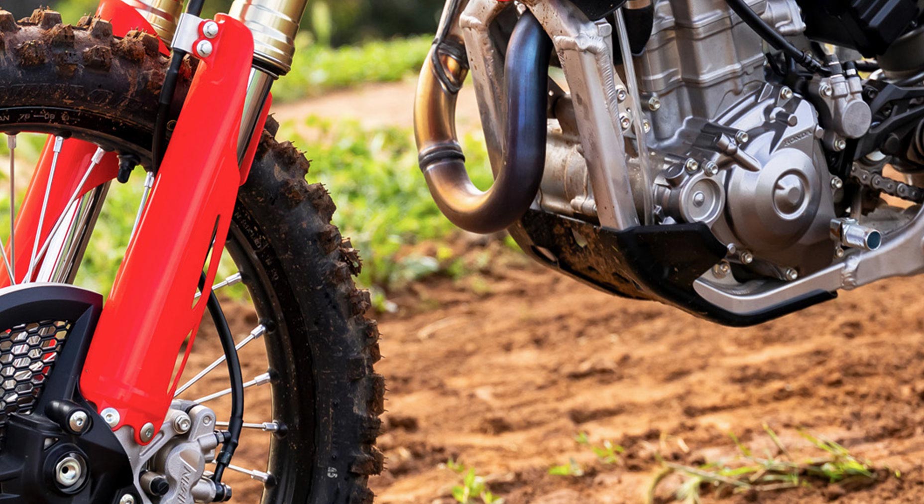 Skid plate