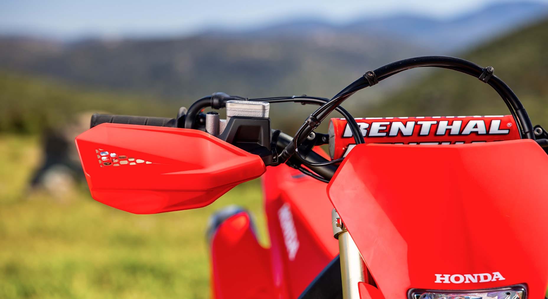 Factory handguards