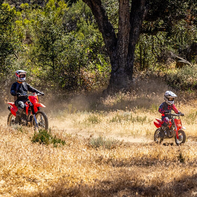 Gallery - CRF50F 4