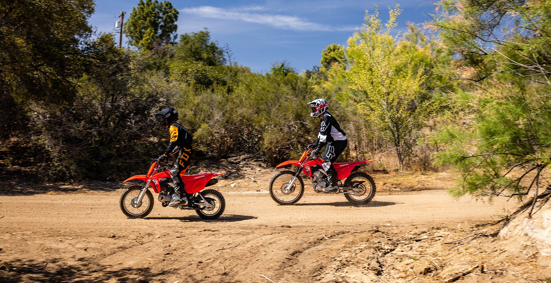 2026-CRF50F-multi-next-step