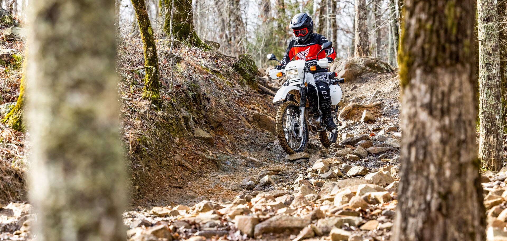 XR650L Share gallery image 6