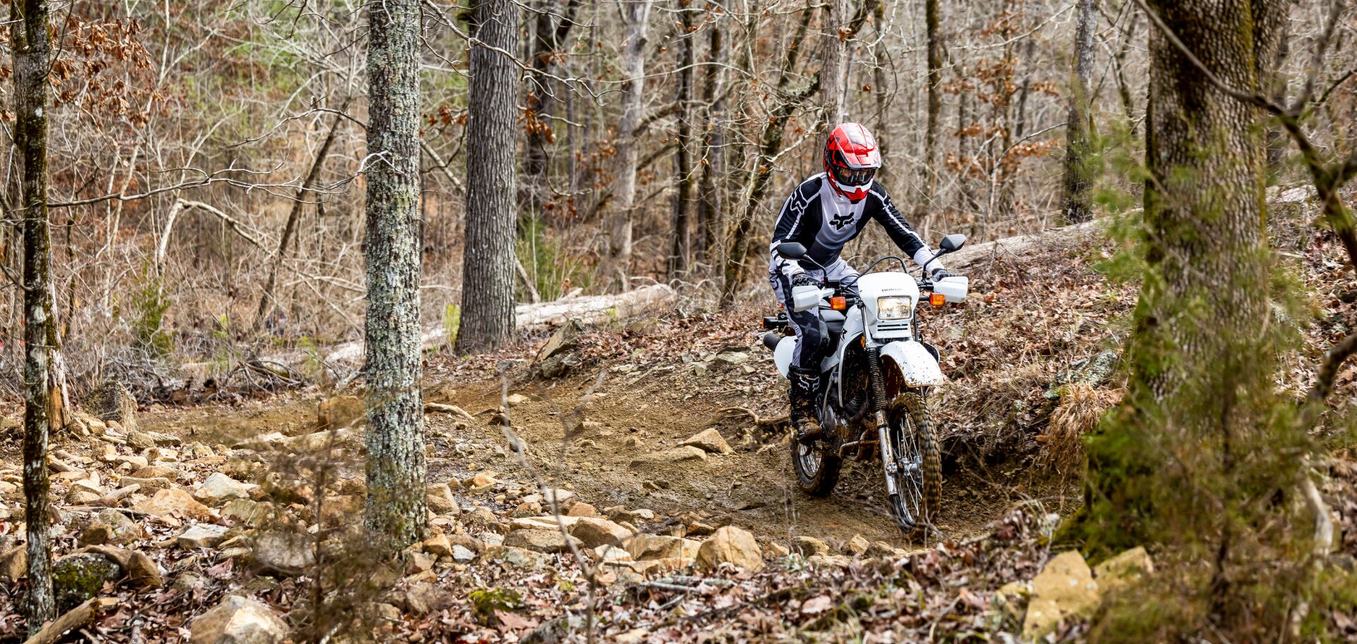 XR650L Share gallery image 4