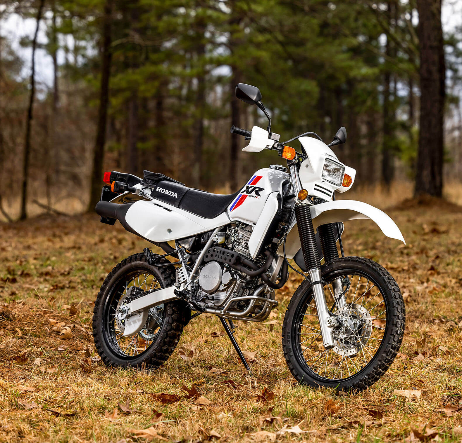 2025-XR650L-gallery-01-1580x1518