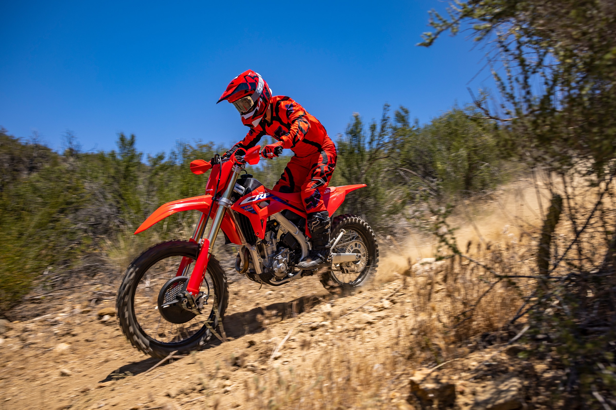 Honda CRF 450 2023