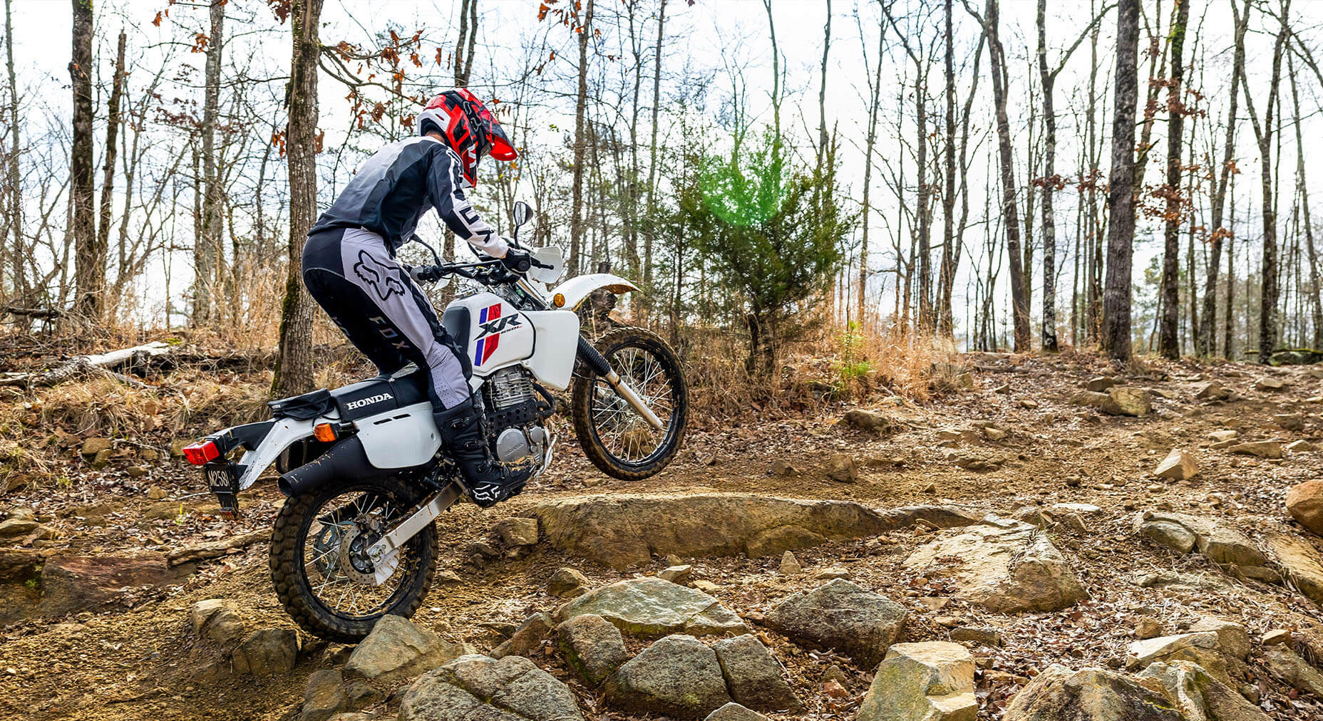 Pro-Link® rear suspension