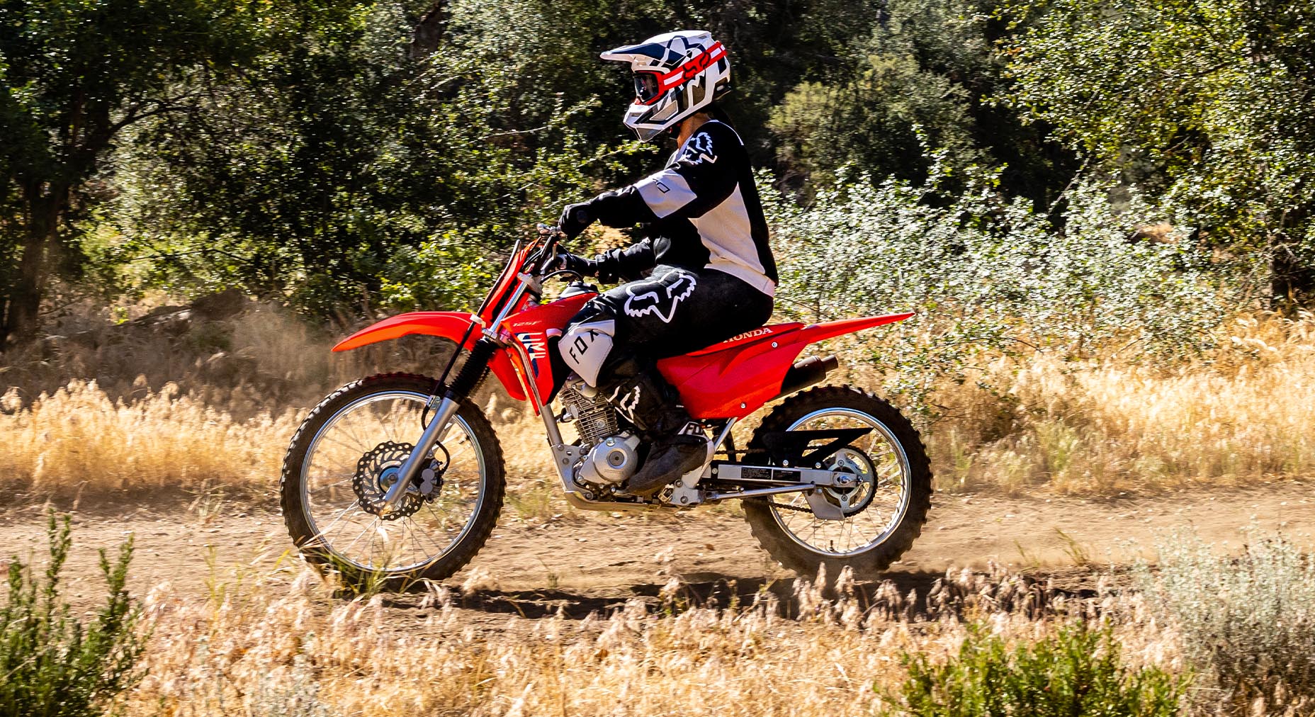 Clean-running engine