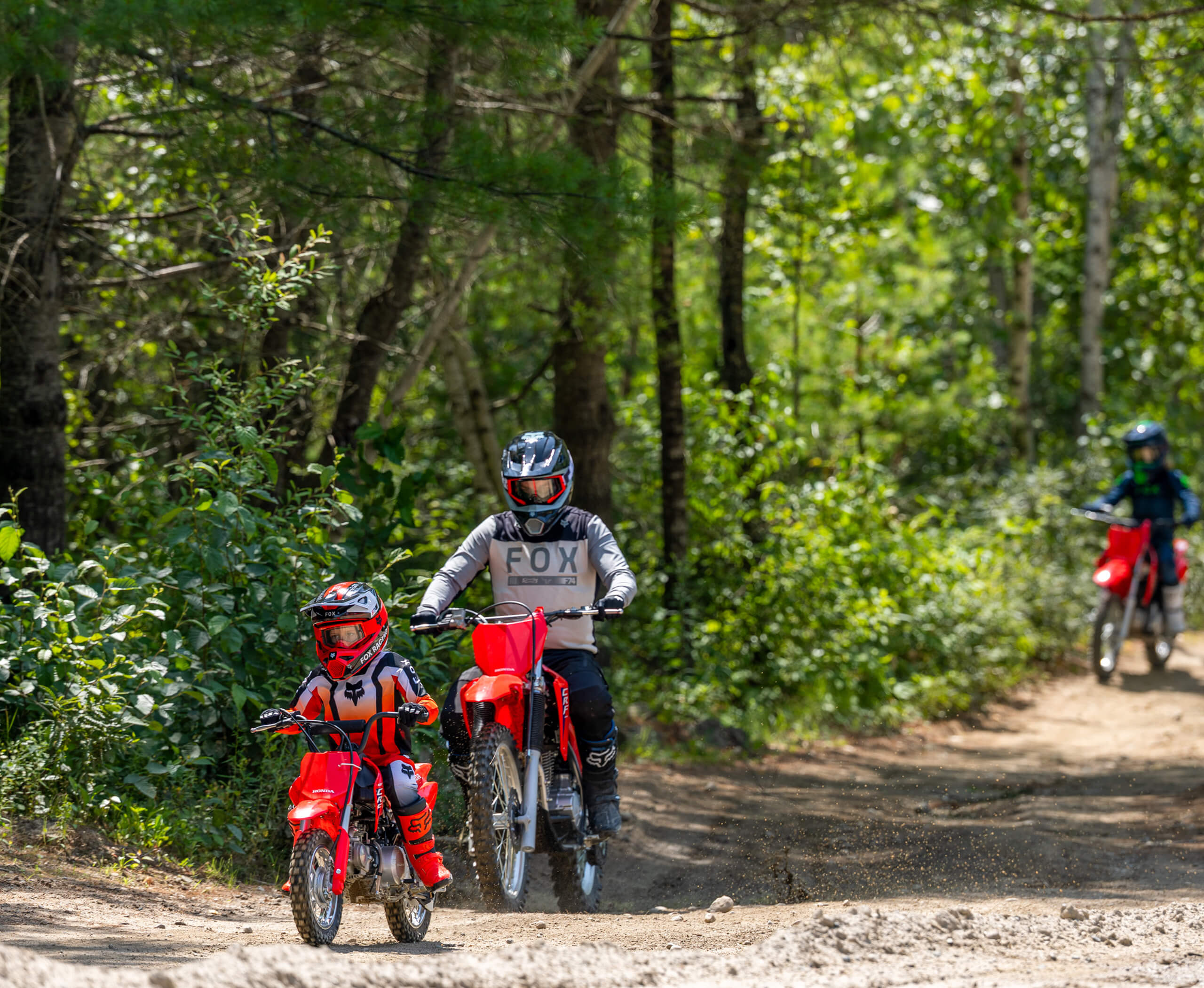 2026-CRF50F-gallery-02