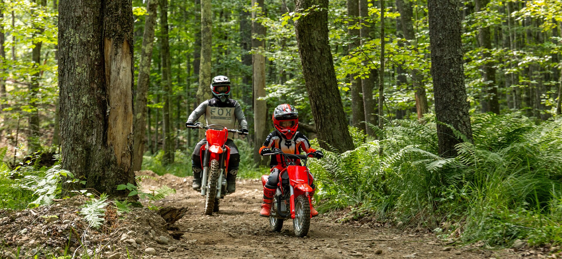 2026-CRF50F-hero-banner