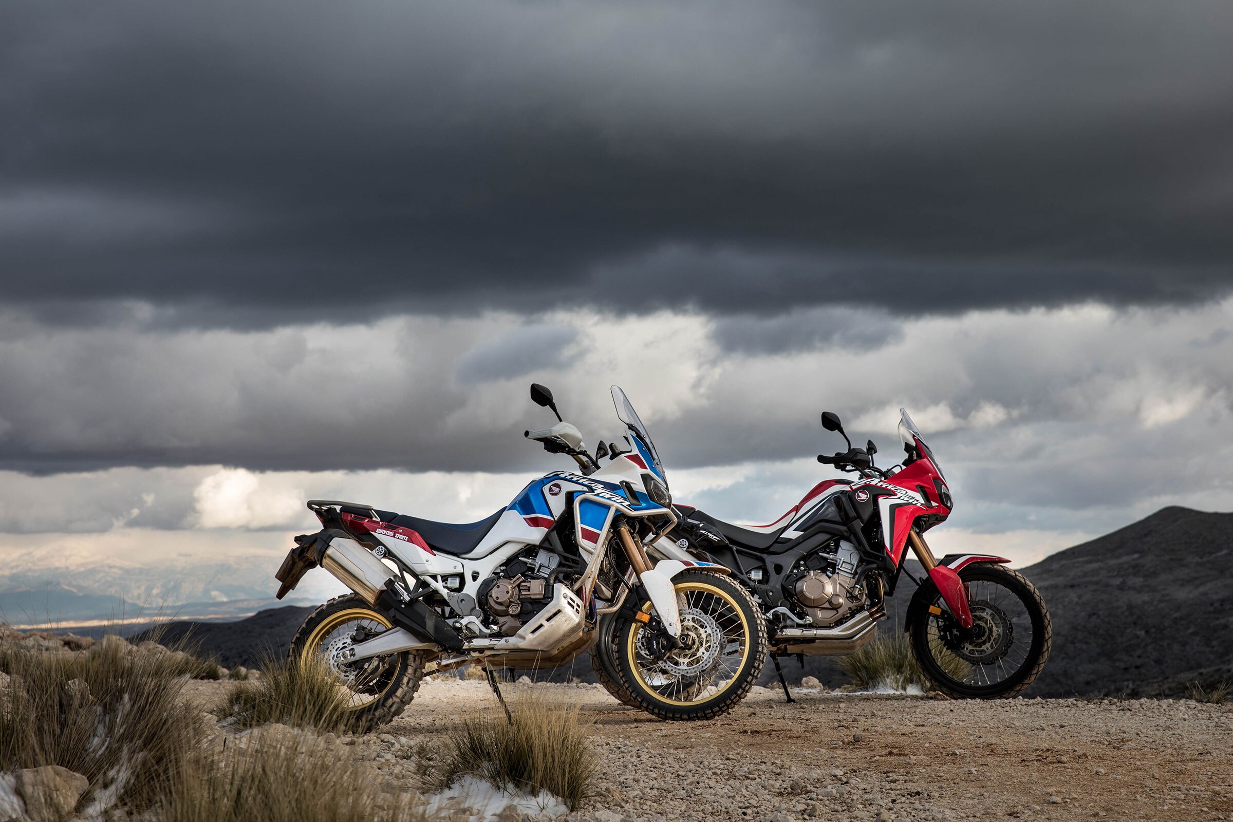 africa twin 2019