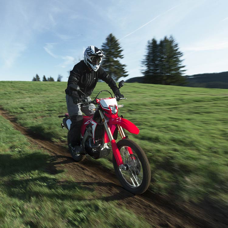 Gallery - CRF450L 0