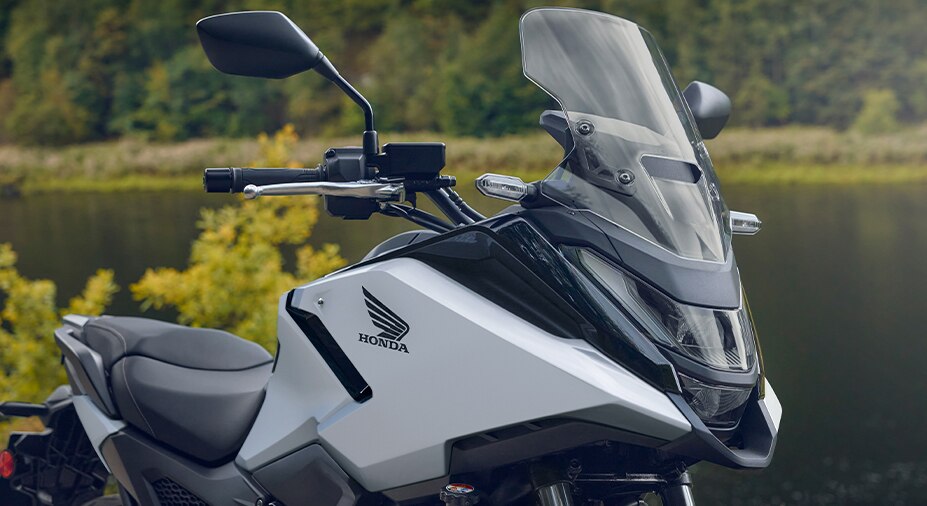 Low-profile windscreen