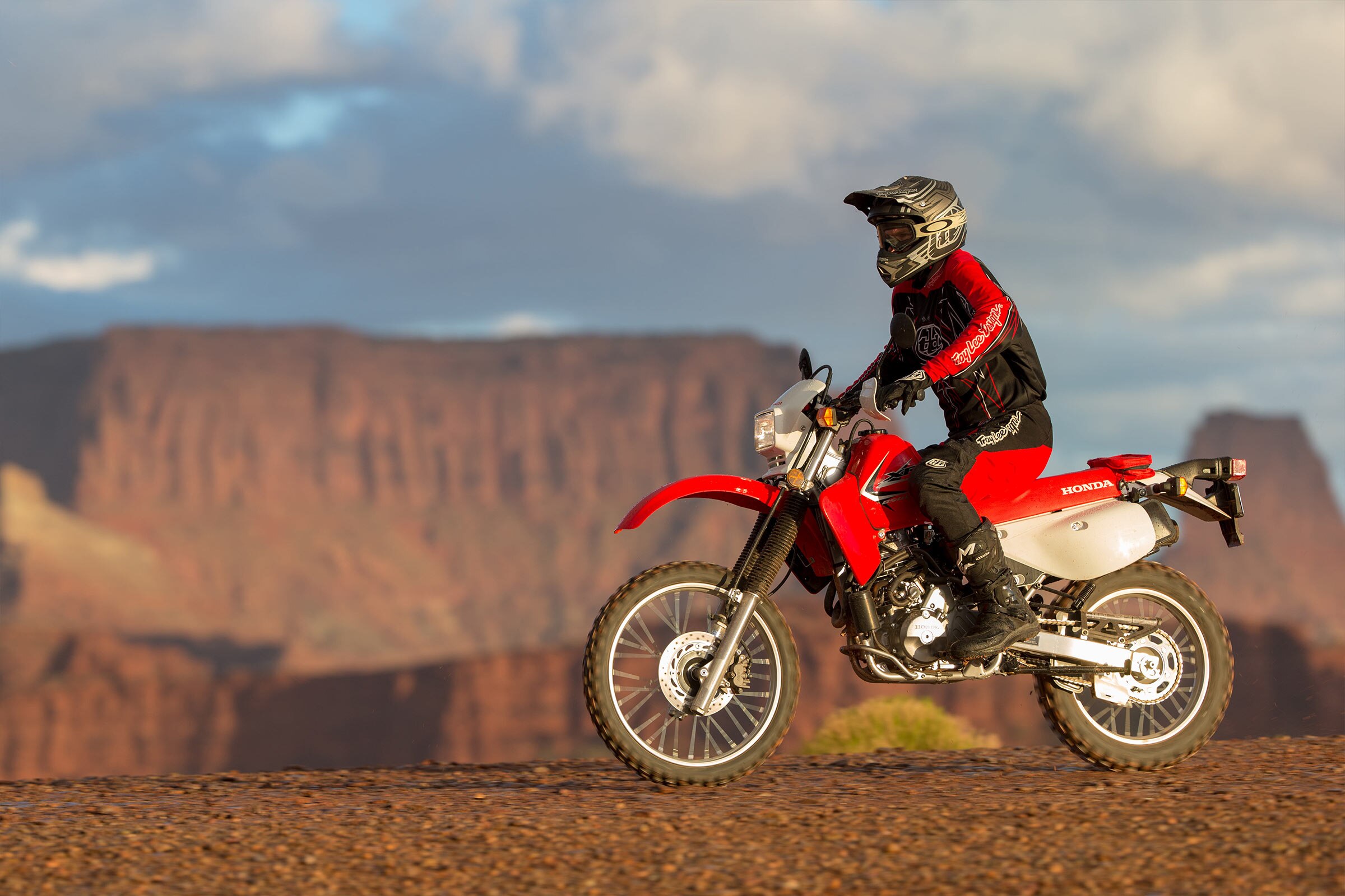29 inch fat tire bike