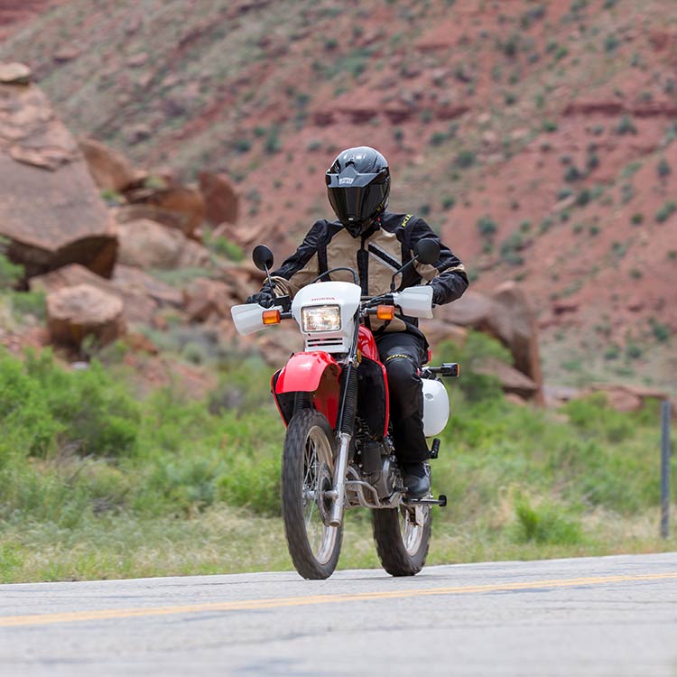 2019 honda xr650l