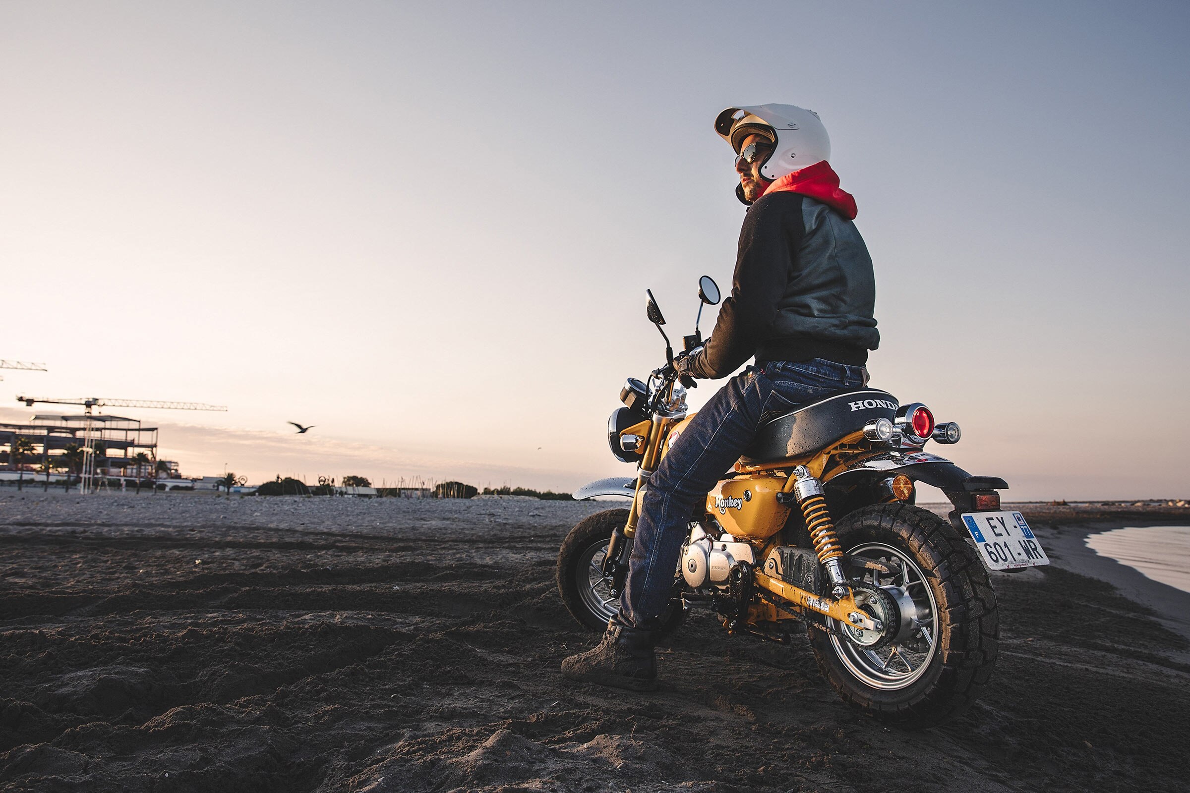 2019 Monkey Overview Honda