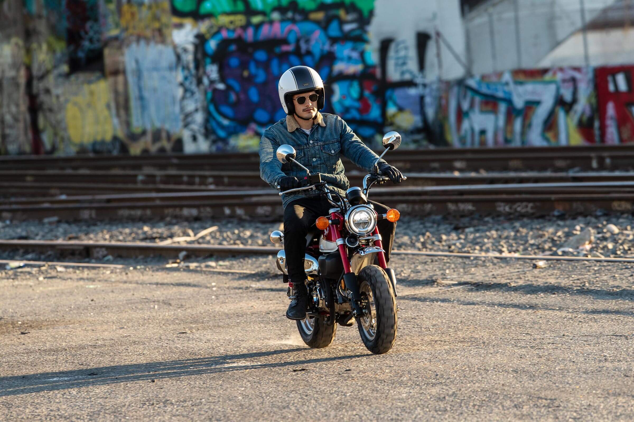 Moto Monkeys