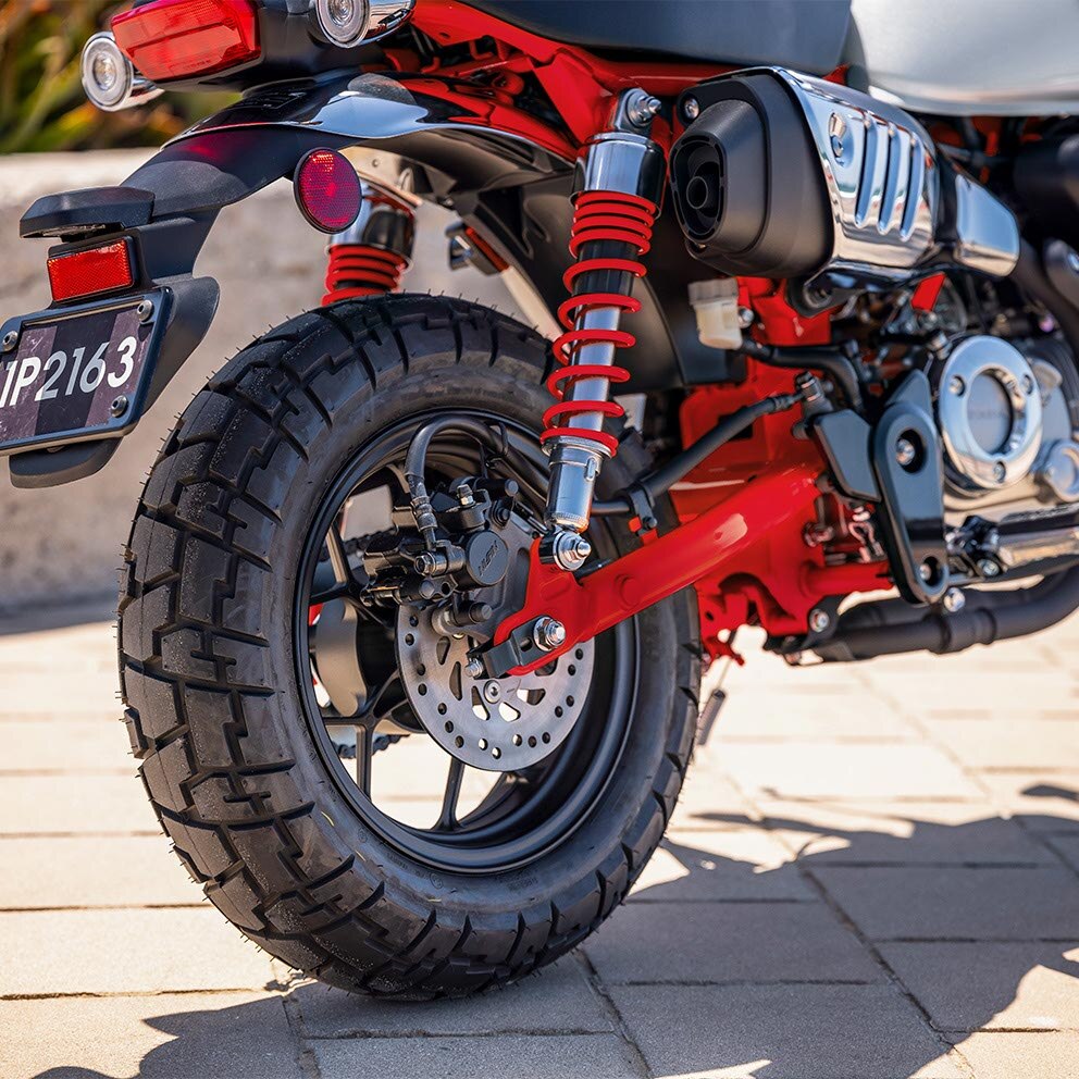 Twin rear shocks