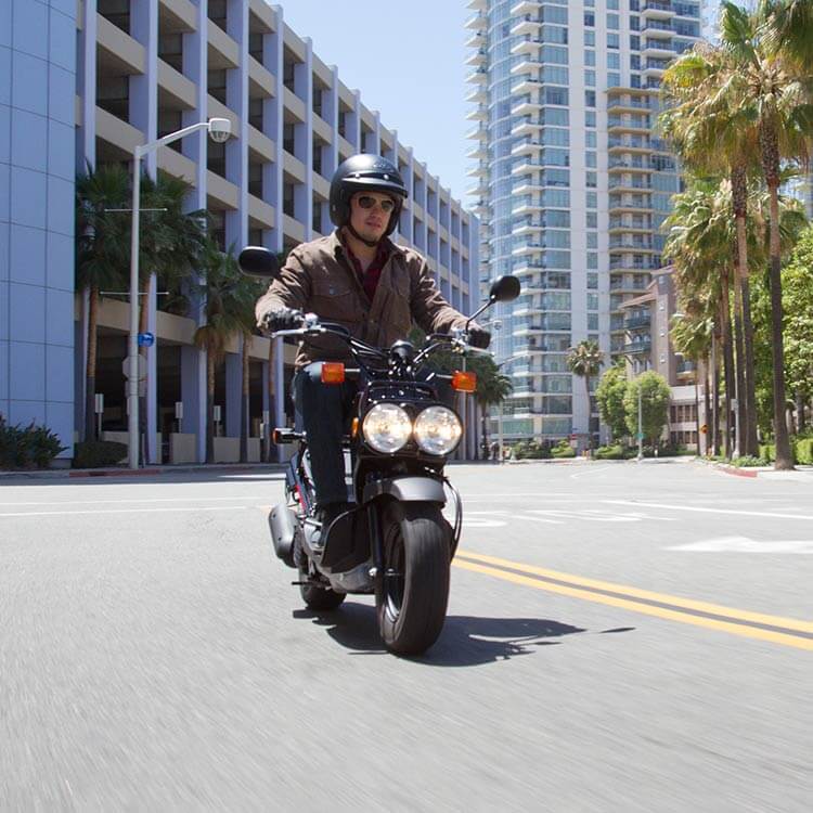 2019 honda ruckus