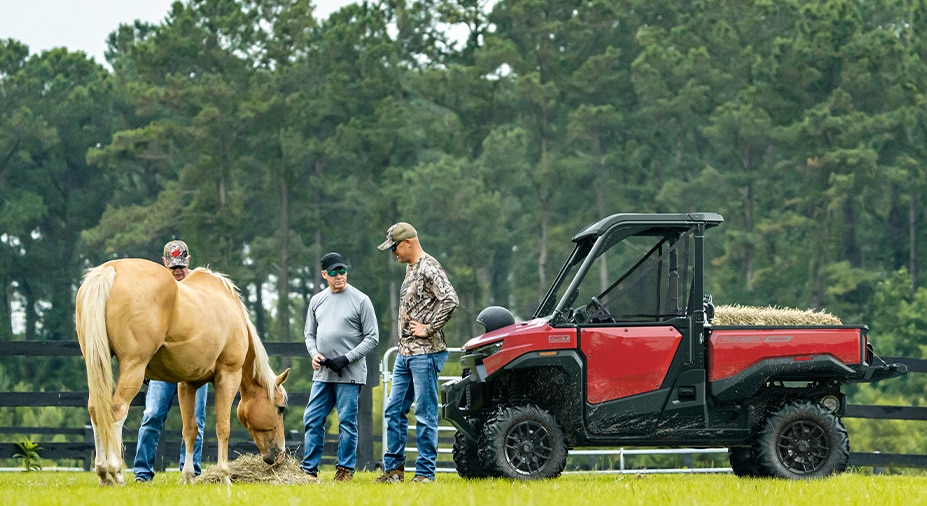 New connected door nets