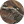 TrueTimber Atera Camo Pioneer 700-4 Forest