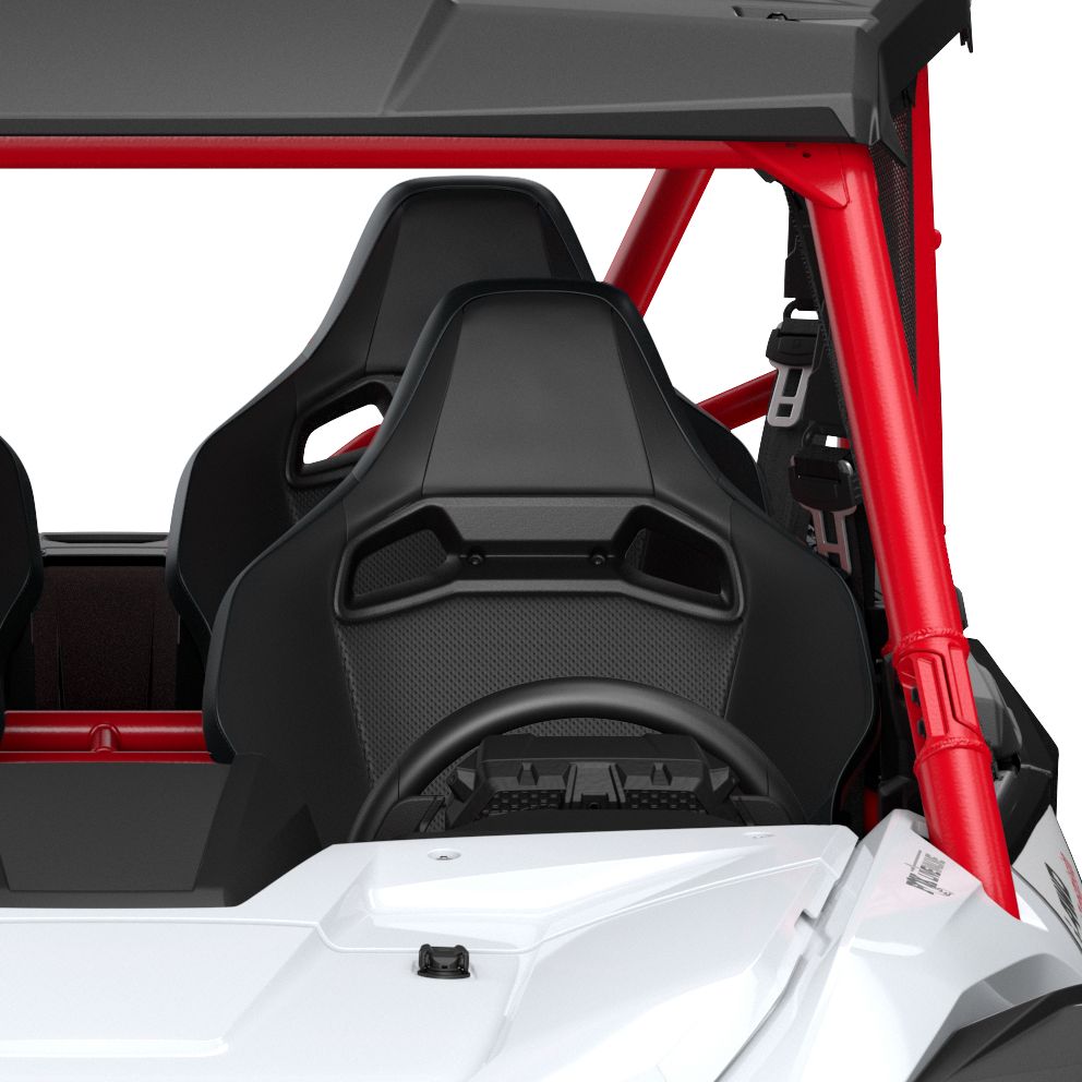 Electric Power Steering